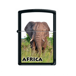 Zippo Africa Elephant